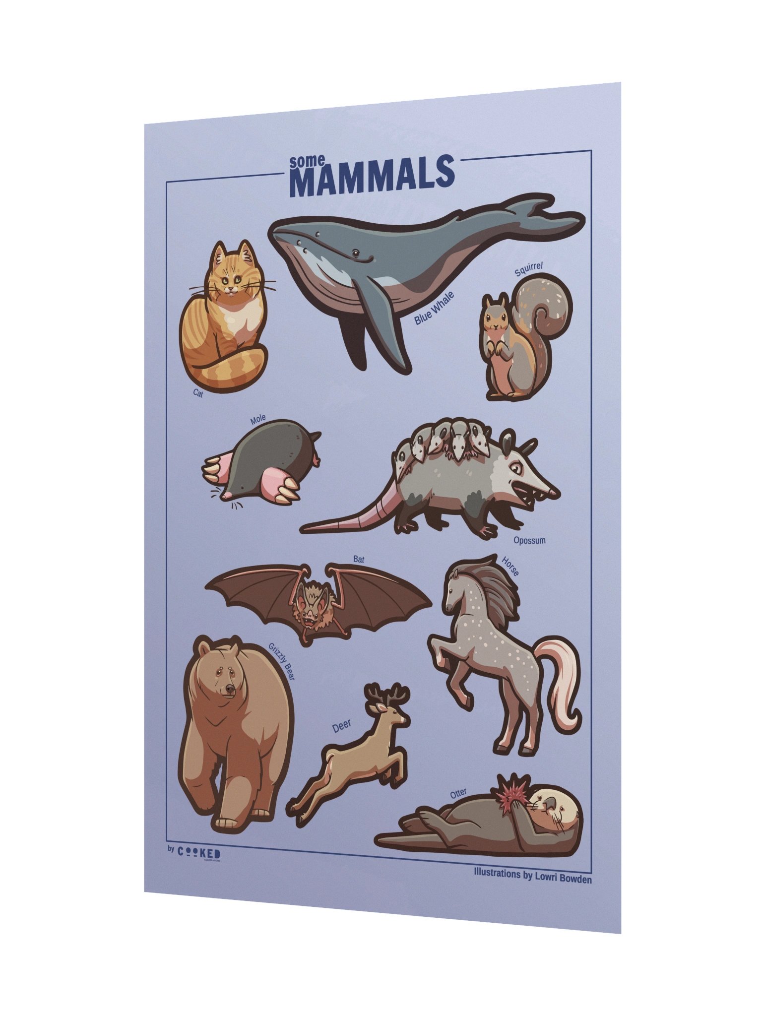 An Abundance of Mammals Poster - 10 Illustrated Mammals - Original Illustrated Poster product image (2)