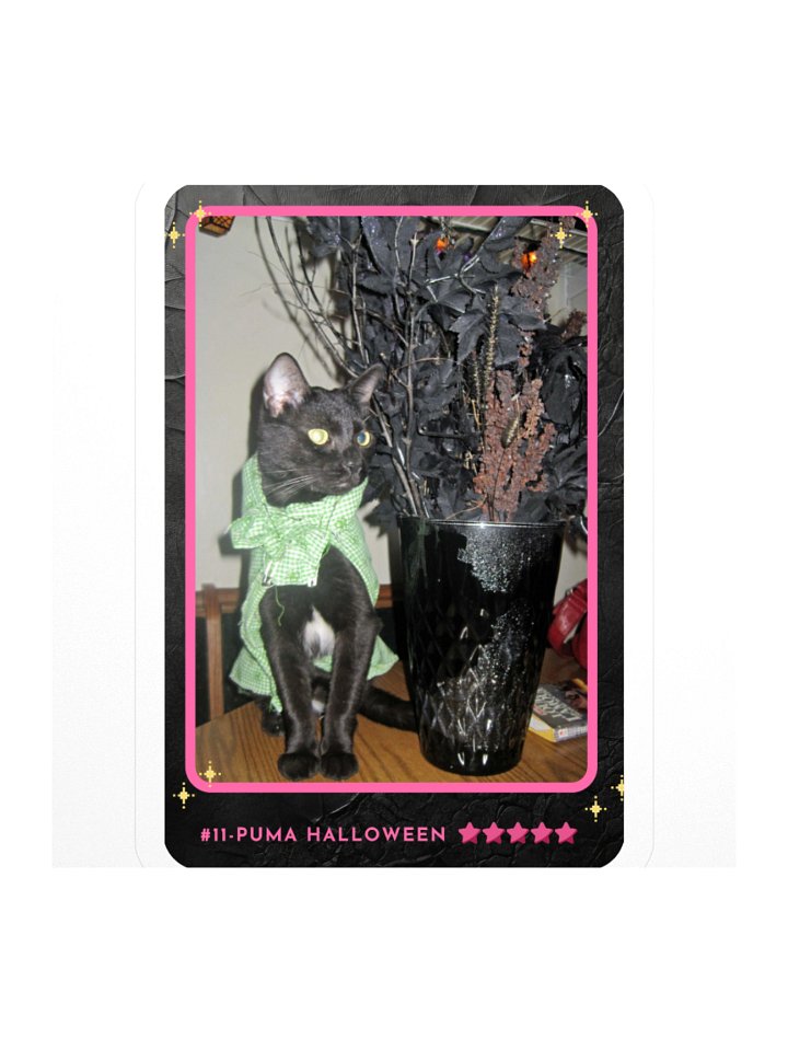 Channel Card 11 - Puma Halloween product image (1)