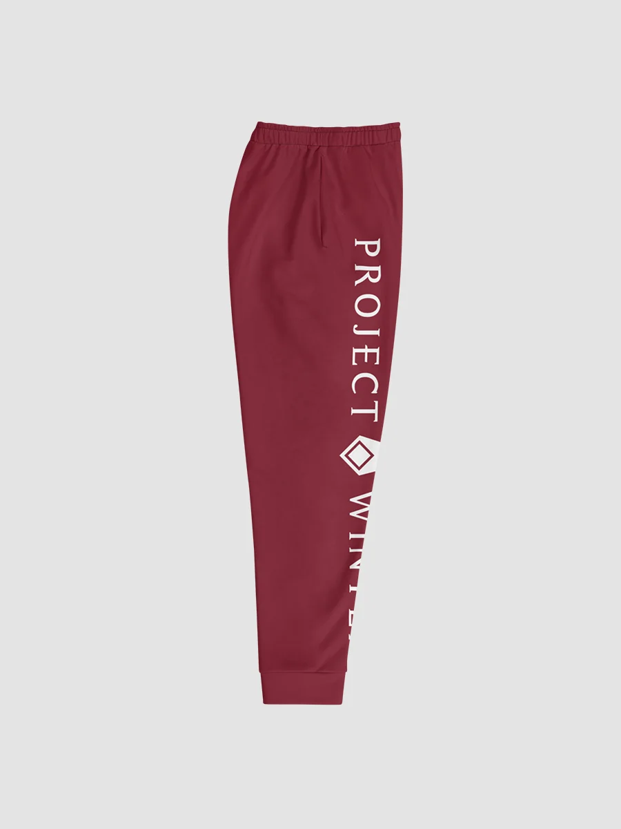 Project Winter Men's Joggers (Red) product image (2)