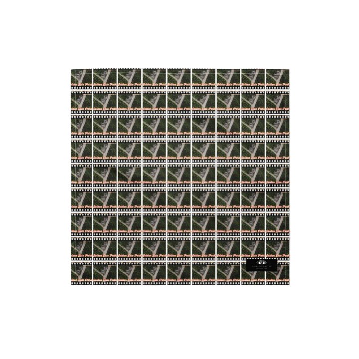 Golden Gate Park Raccoons Bandana product image (1)
