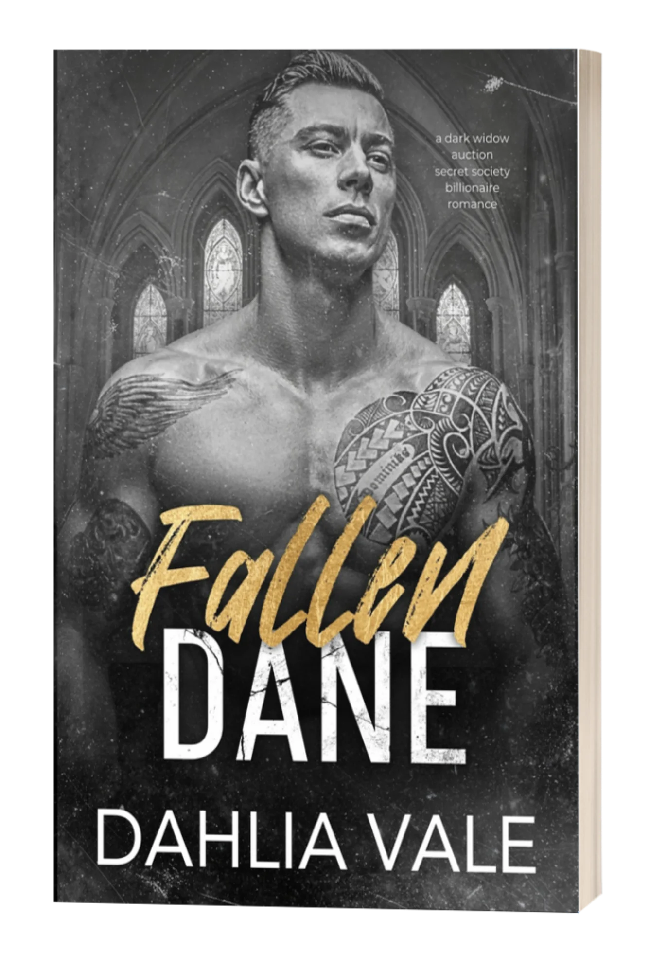 Fallen Dane: Signed Paperback product image (1)
