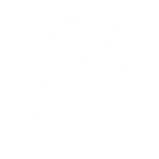 AetherDreams Studio