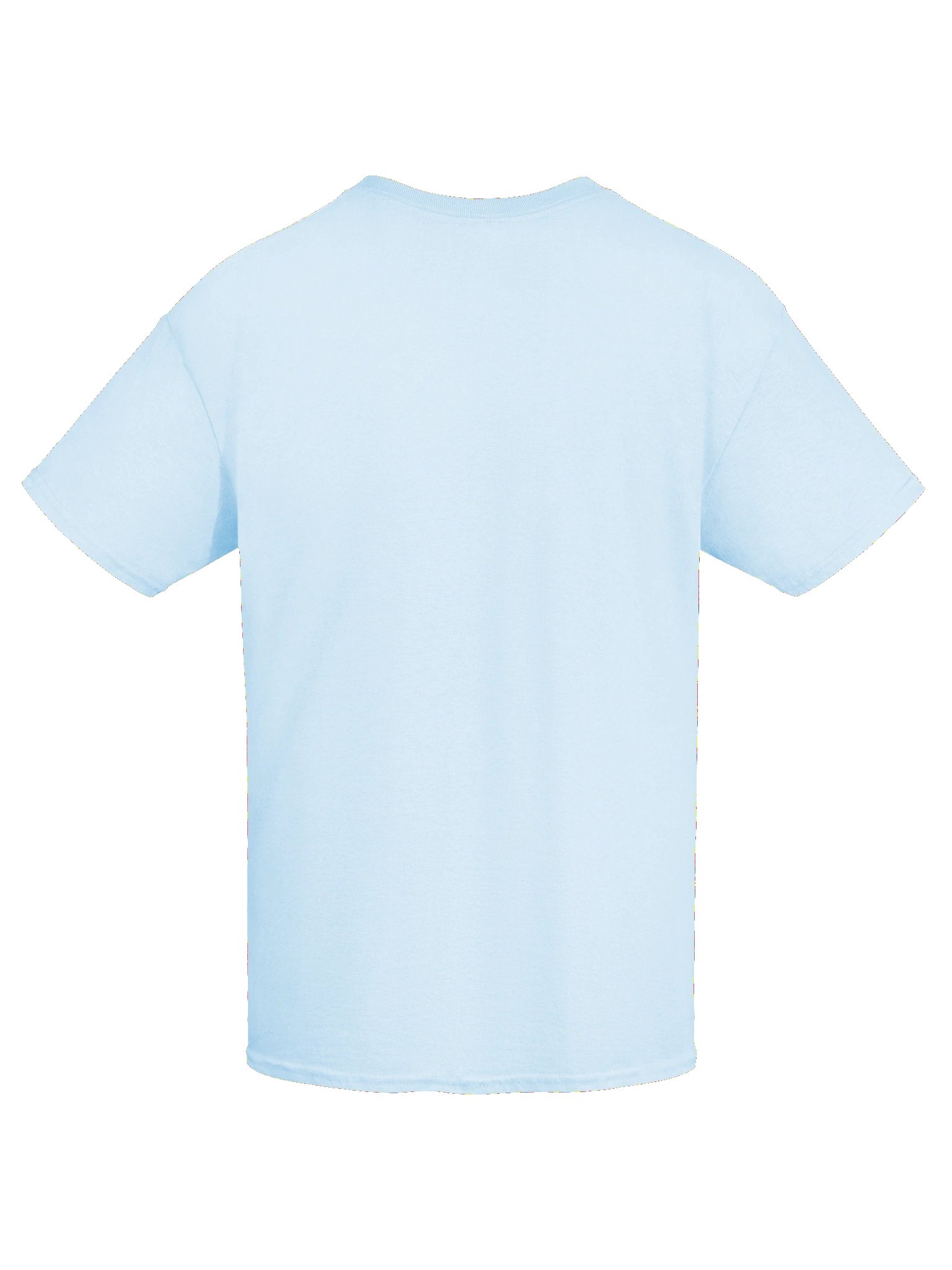 CaribbeanApples - Saltfish | Heavyweight T-Shirt | 9 Colors product image (7)