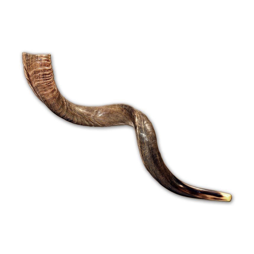 Large NATURAL Shofar product image (1)