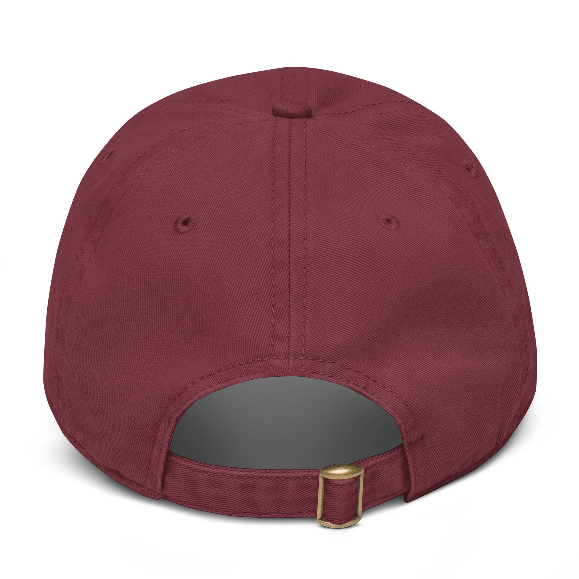 NVR DAD CAP product image (2)