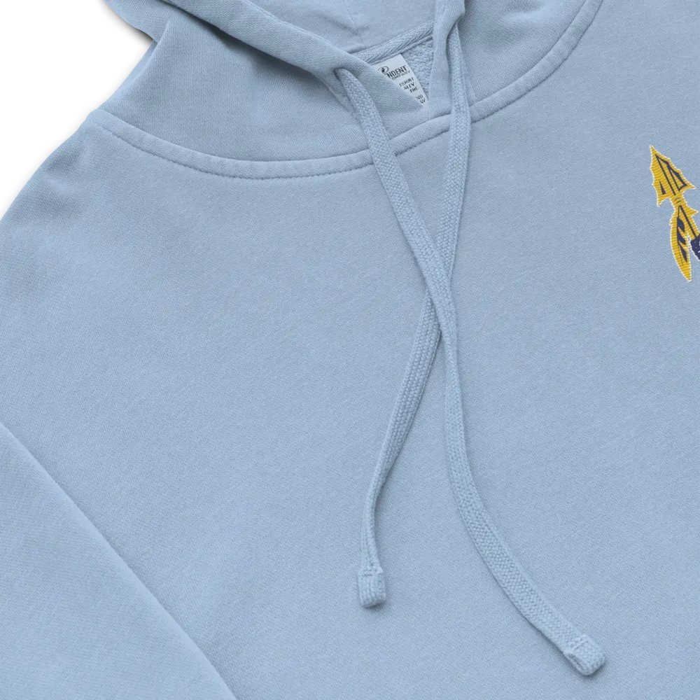 Lake Forest Latin Club Garment-Dyed Hoodie product image (7)