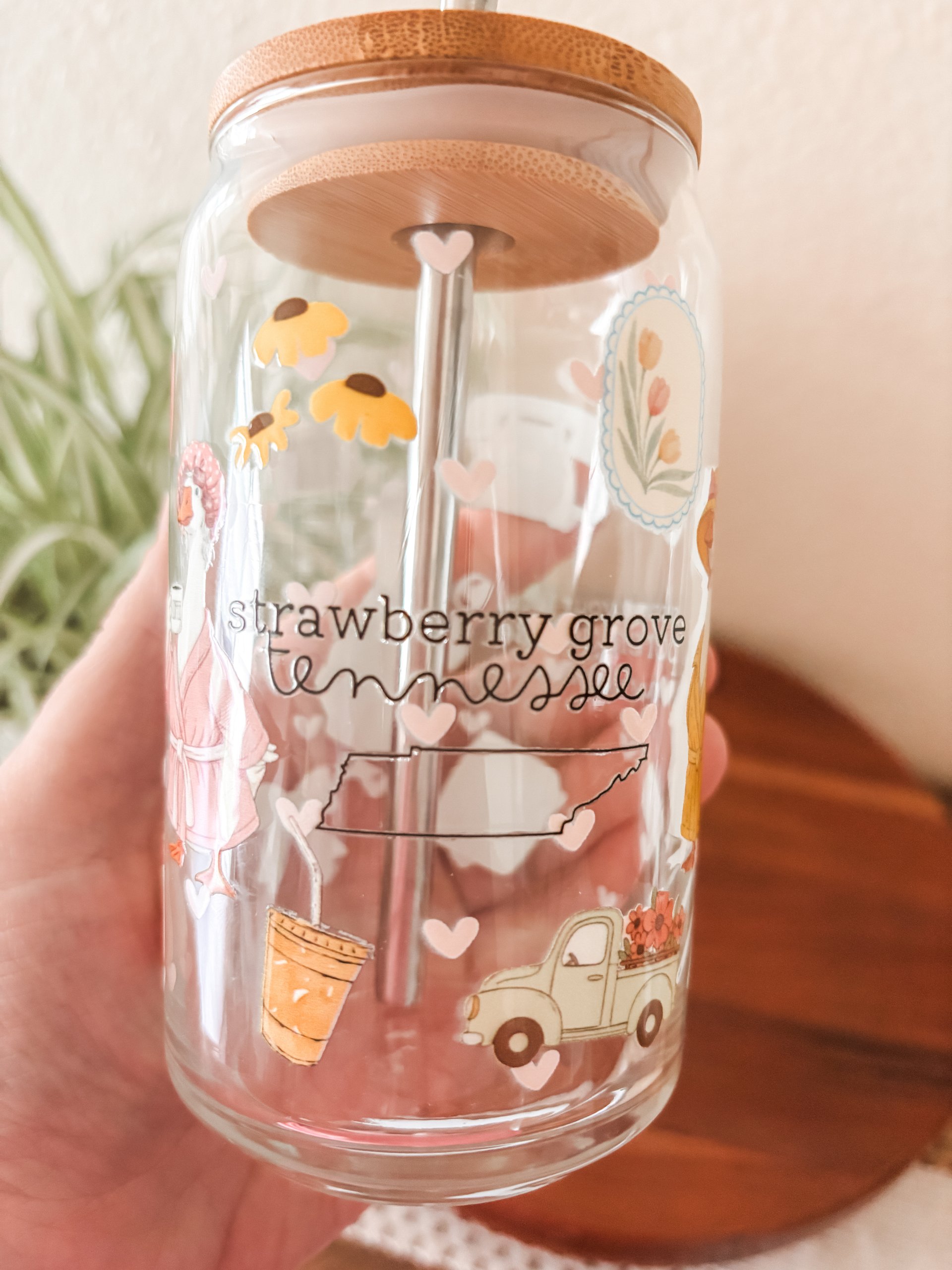Support Your Local Porch Goose Population - Strawberry Grove Tennessee product image (1)