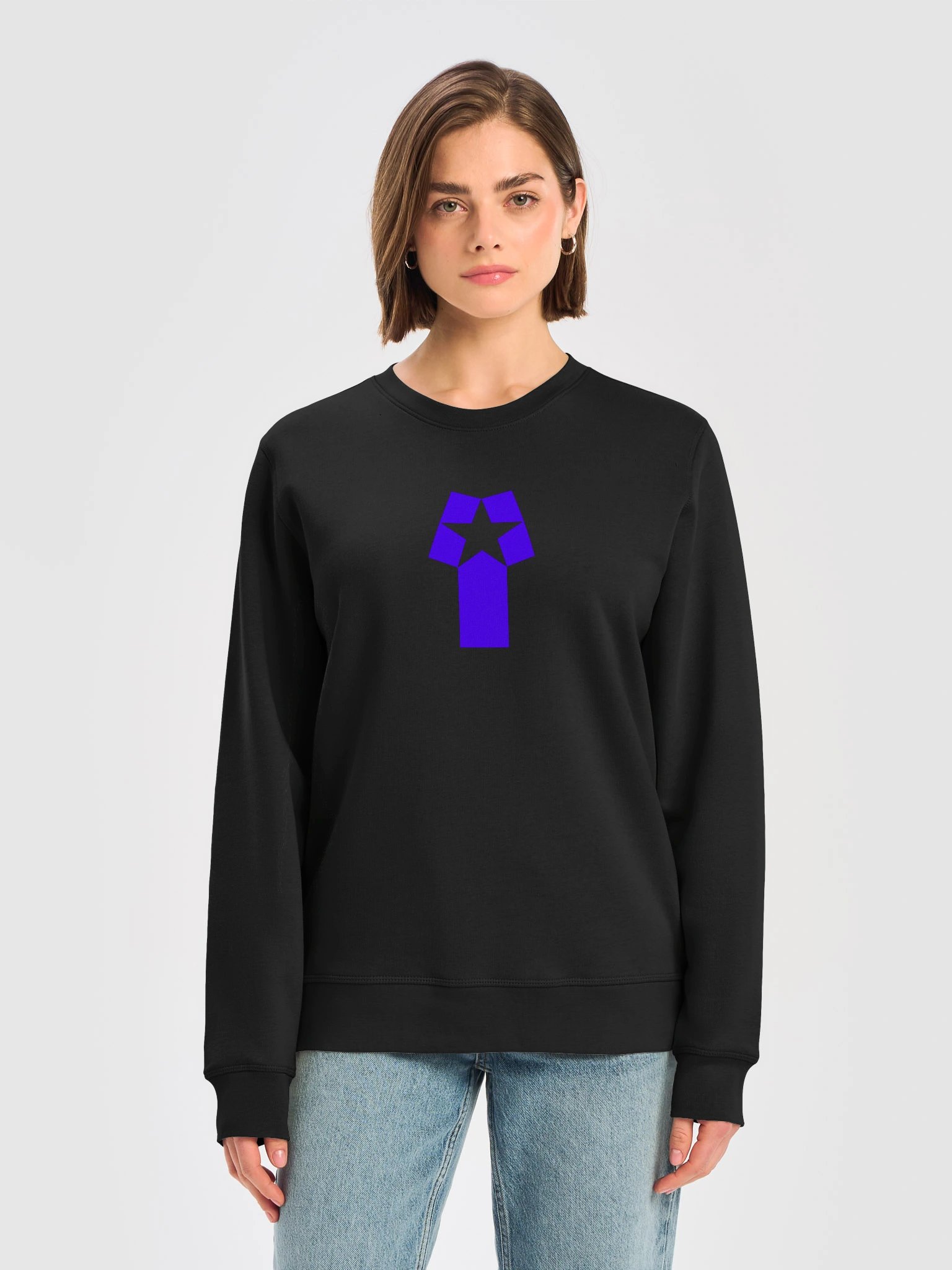 Phi Star Sweatshirt product image (5)