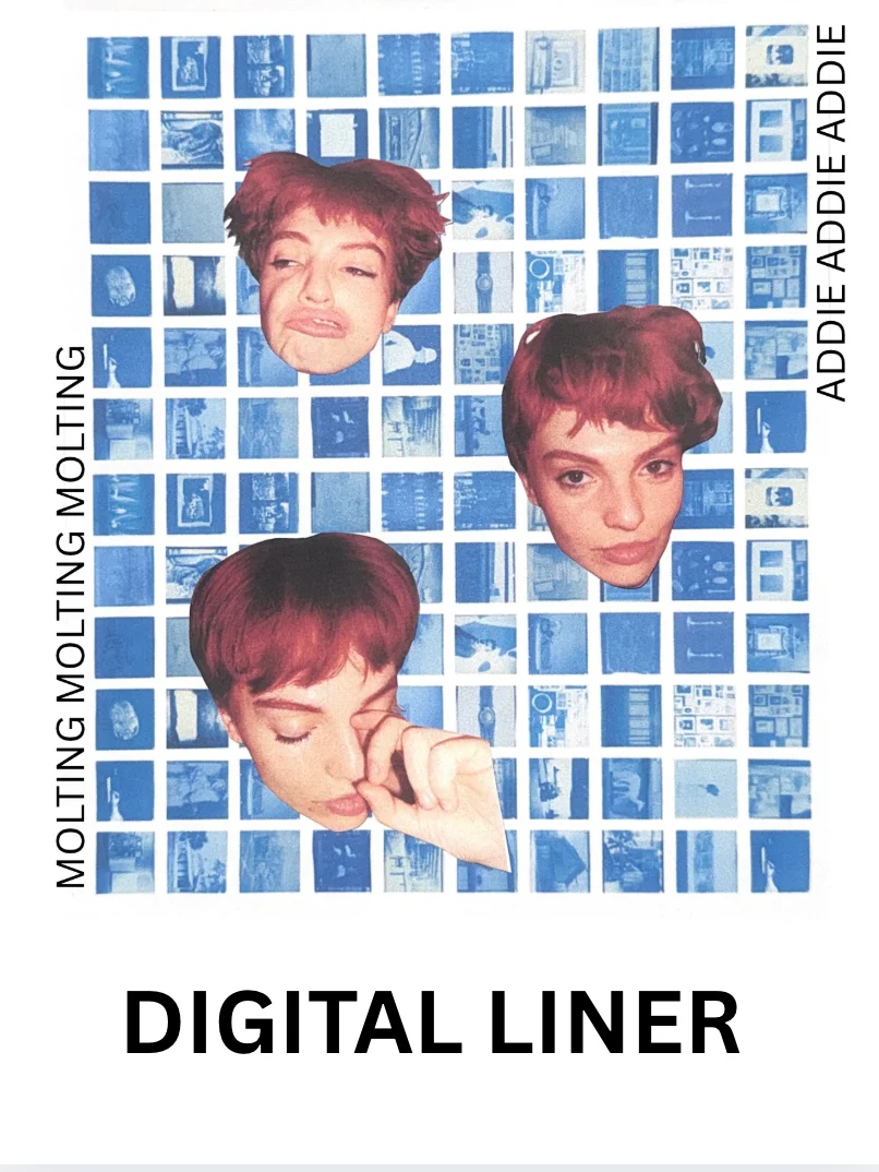 MOLTING MOLTING MOLTING - Digital CD Liner product image (1)
