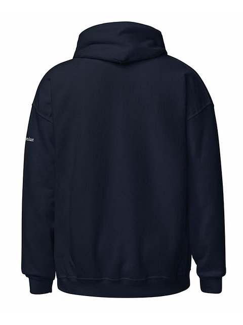 National Air and Space Museum Hoodie (Unisex) product image (2)