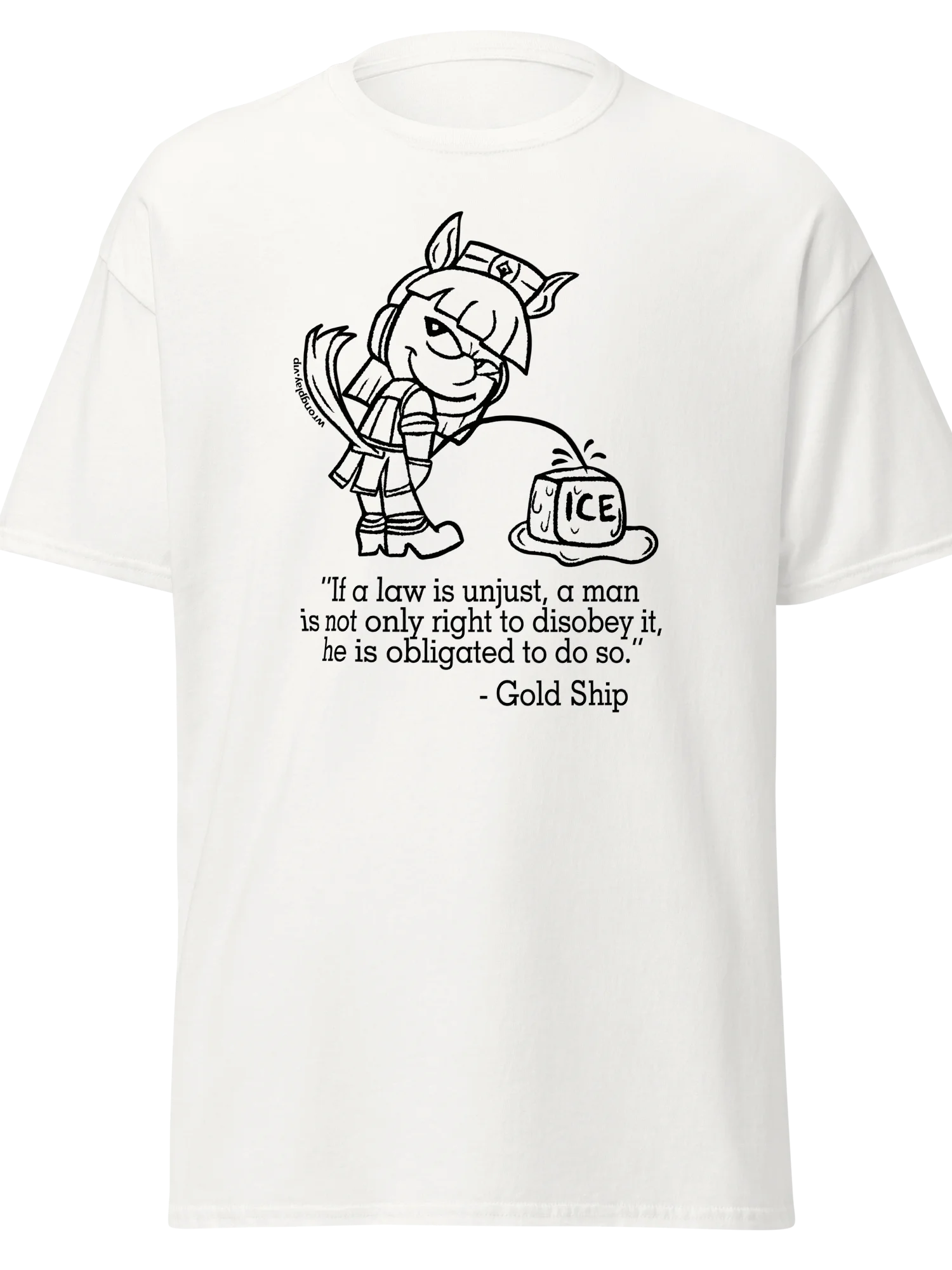 GOLSHI'S LAW product image (1)