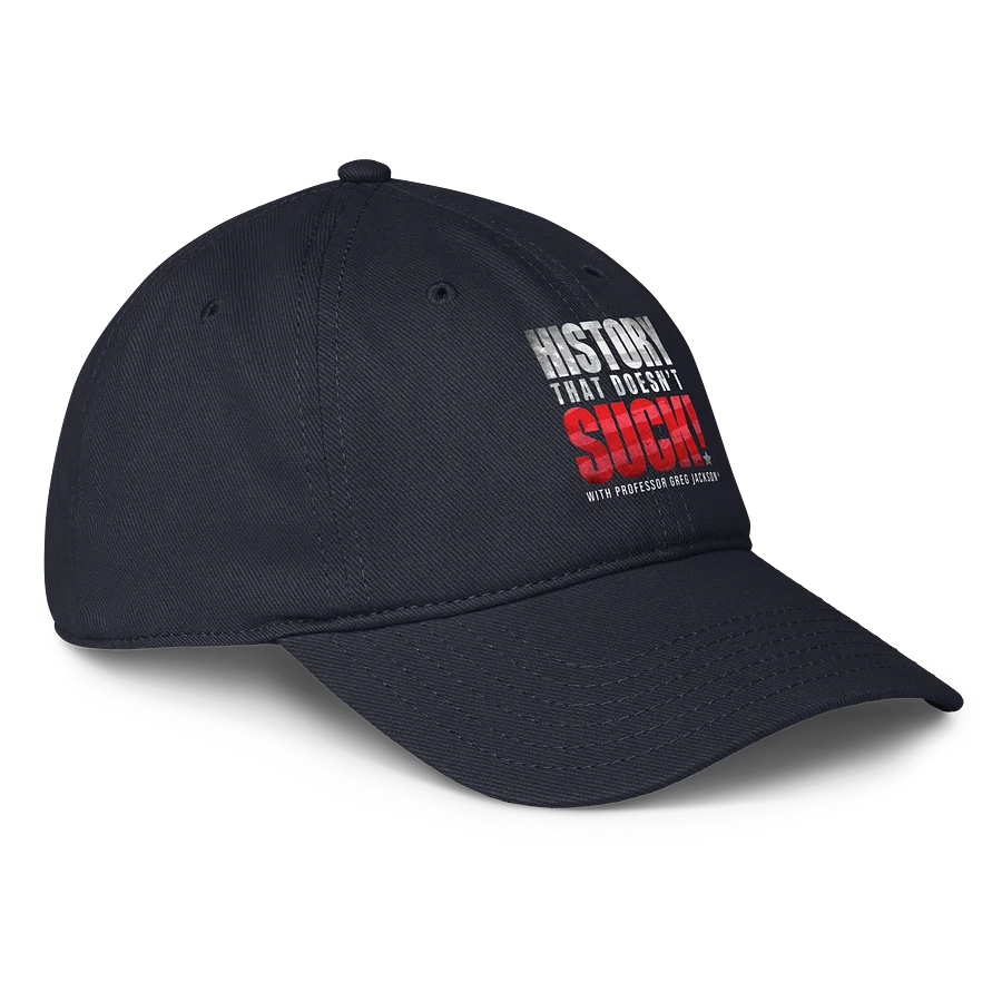 HTDS baseball cap product image (4)