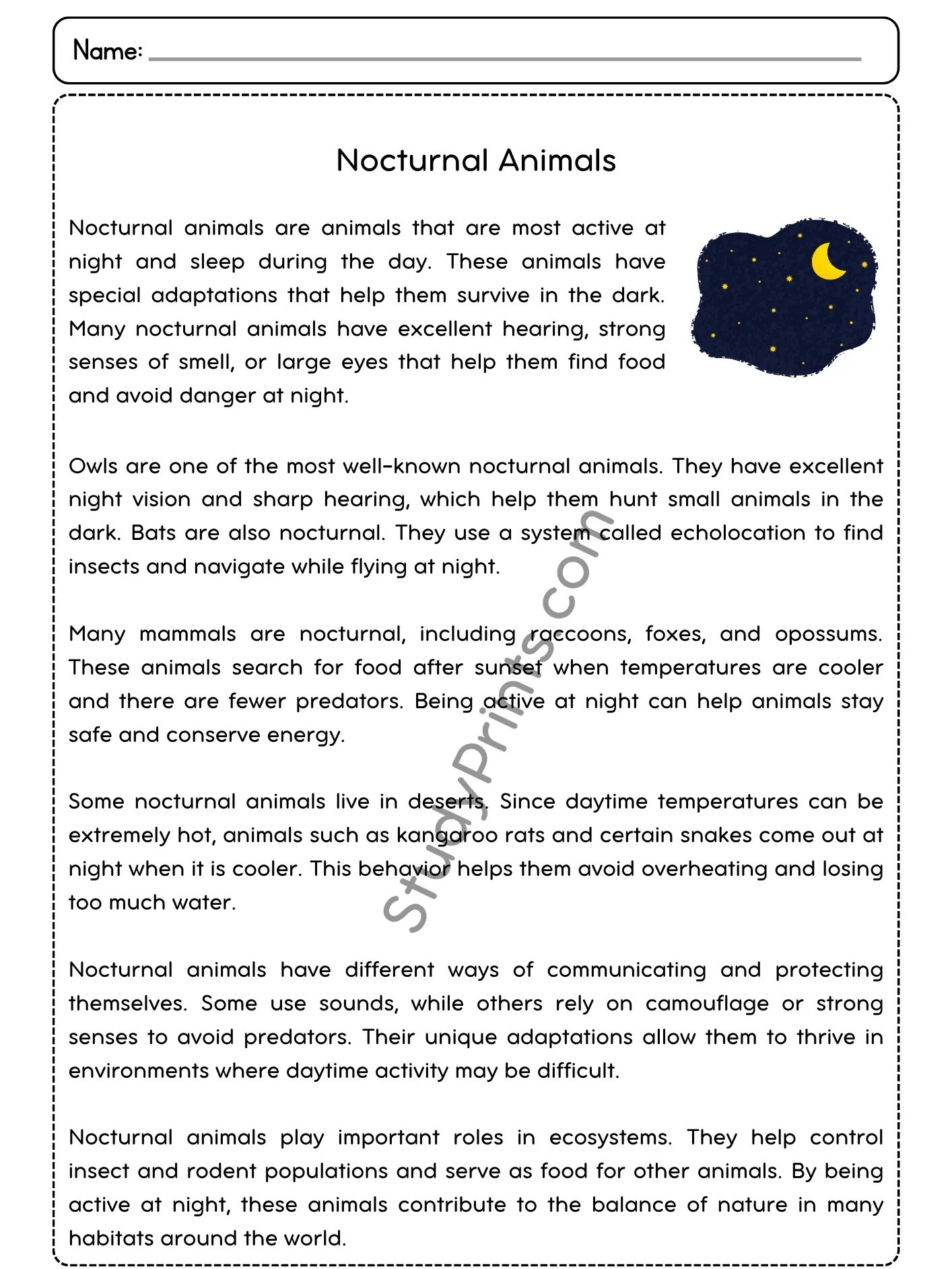 Nocturnal Animals Reading Comprehension Passage and Questions | Printable PDF product image (2)