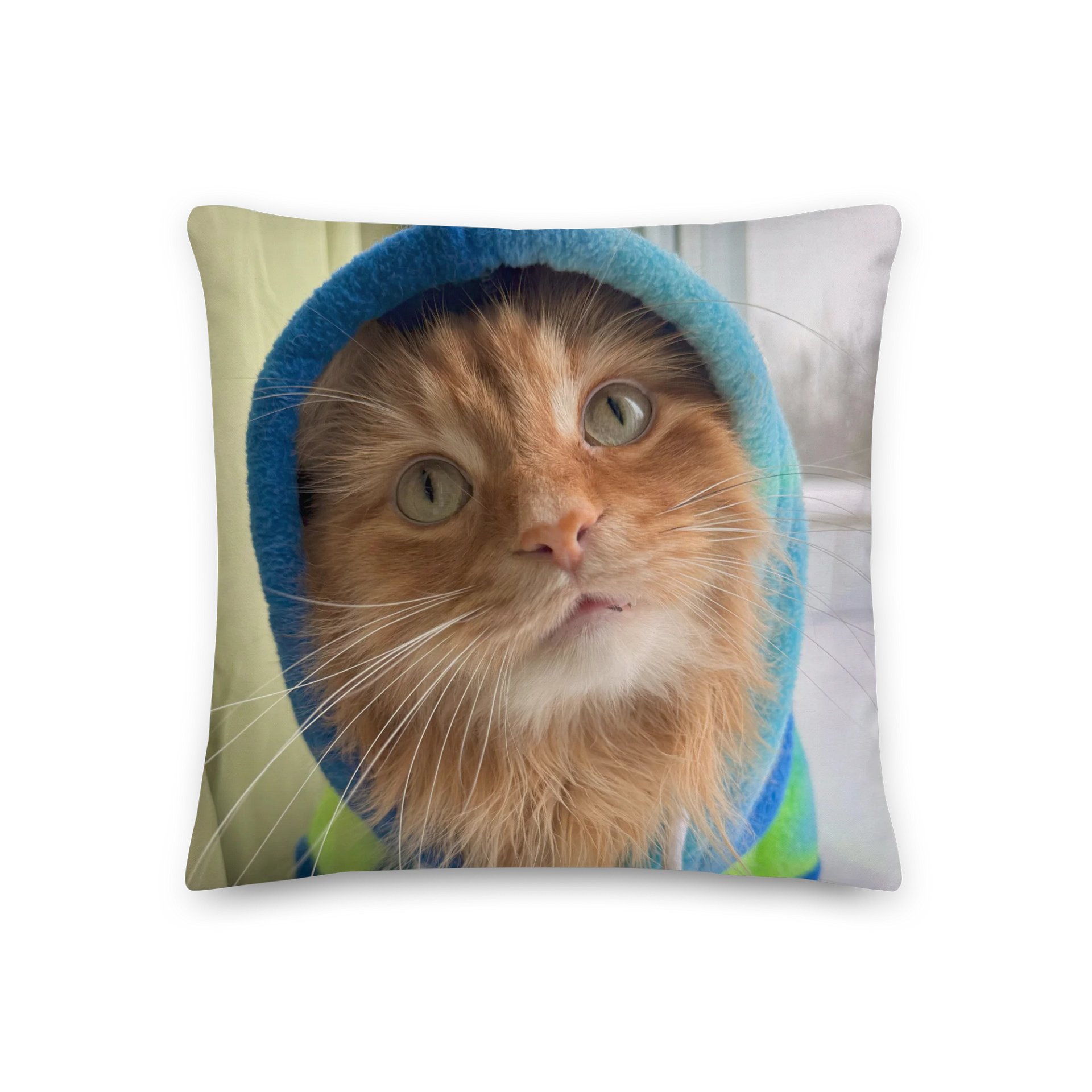 Pudding Happens Pillow |Oreiller product image (2)