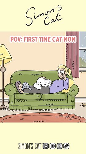 Celebrating all cat moms today!