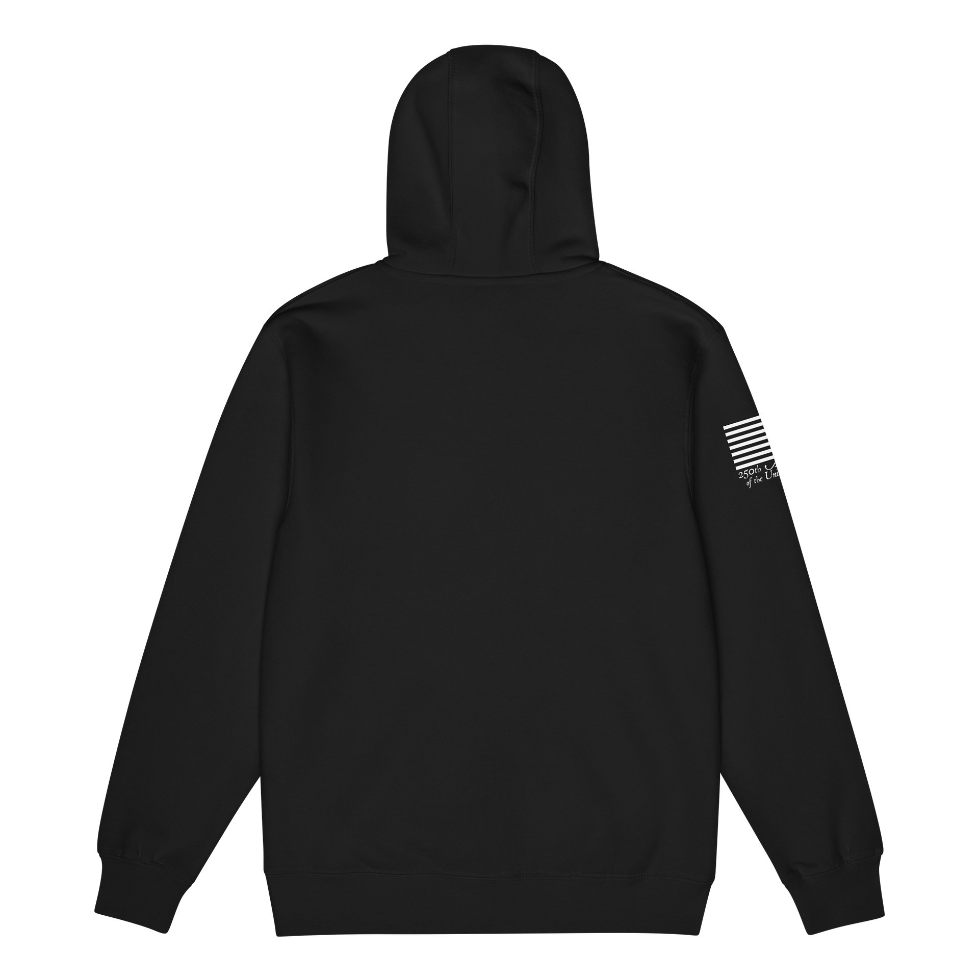250 We The People Loaded ZipHoodie product image (6)