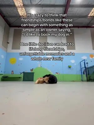 #greenscreenvideo 