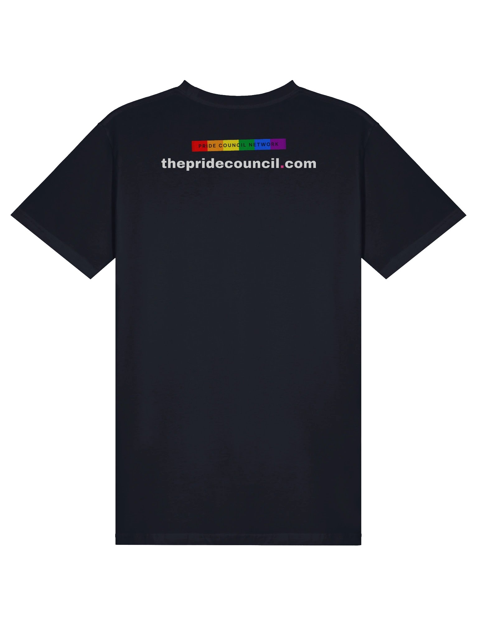 The PCN Campaign Tee - Spectrum product image (14)