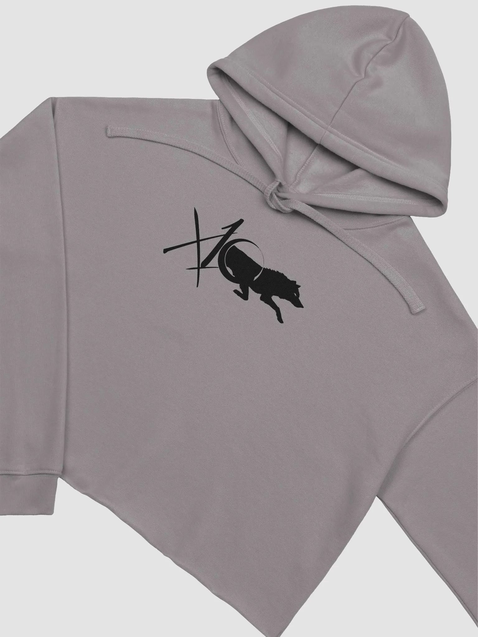 Logo Crop Hoodie product image (3)