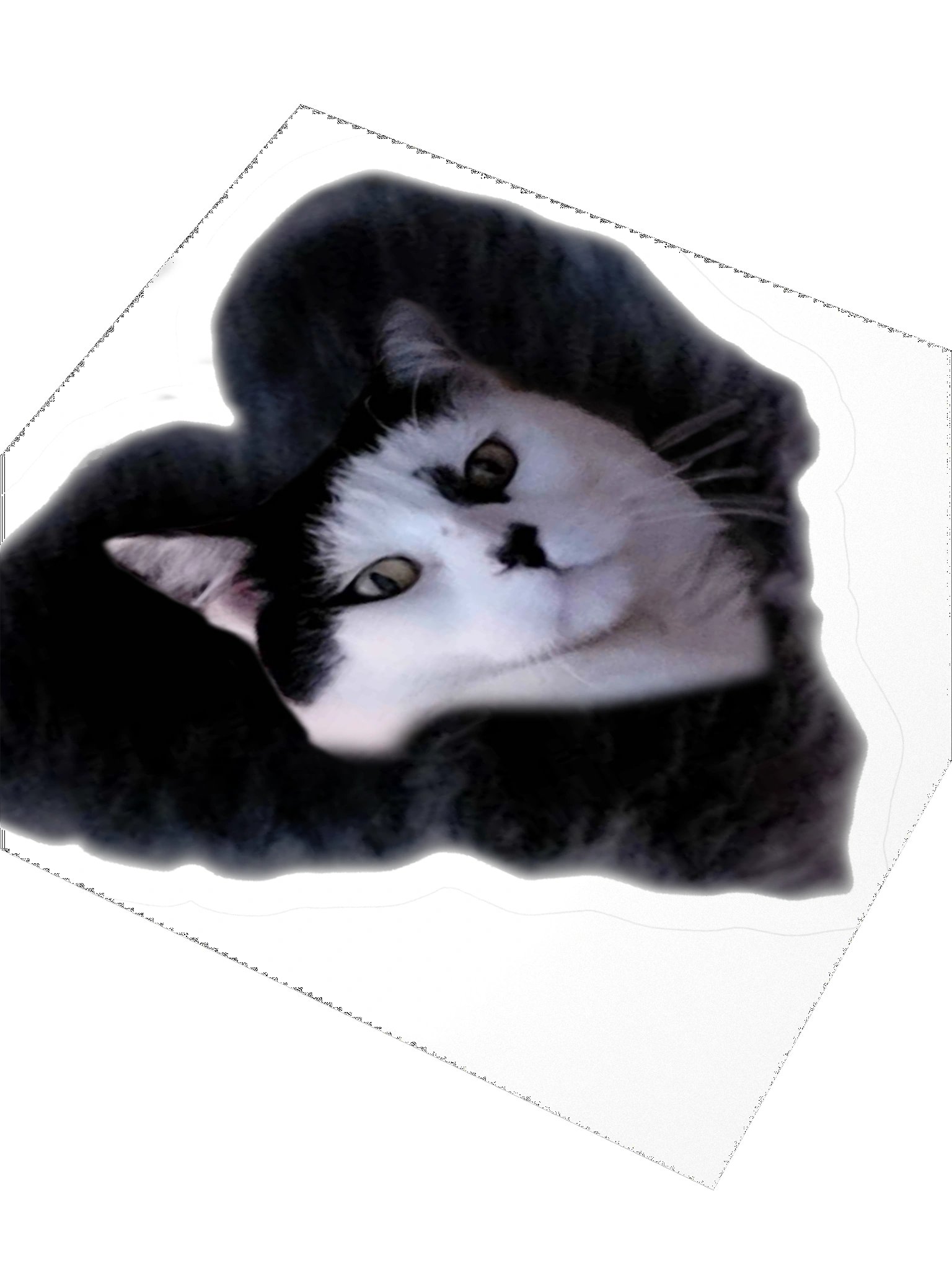 howlin42CATLUV Sticker product image (8)