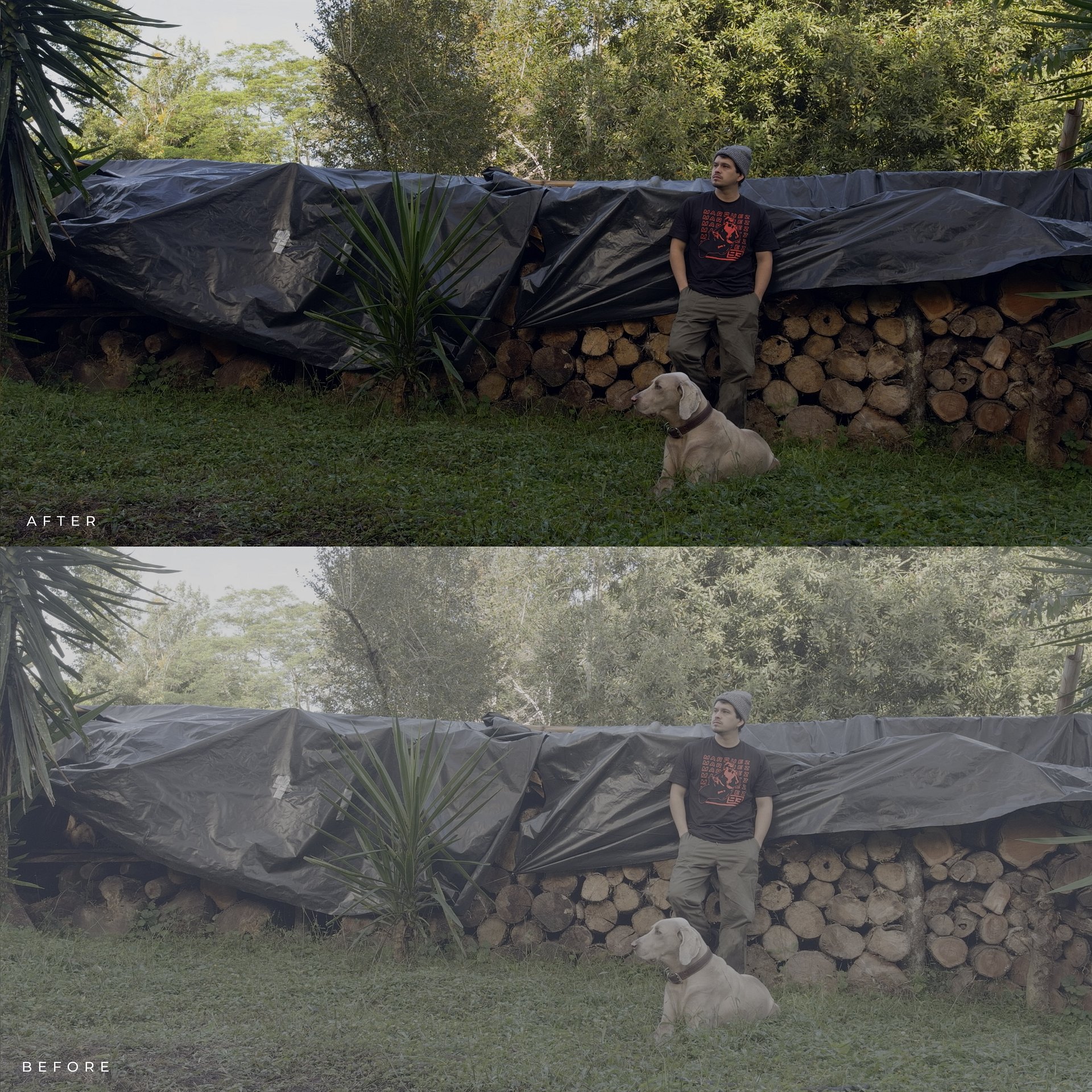 Apple Log 2 Conversion LUT product image (3)