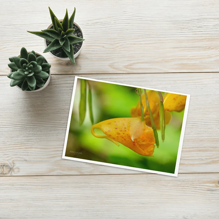 Touch-Me-Note Greeting Card product image (1)