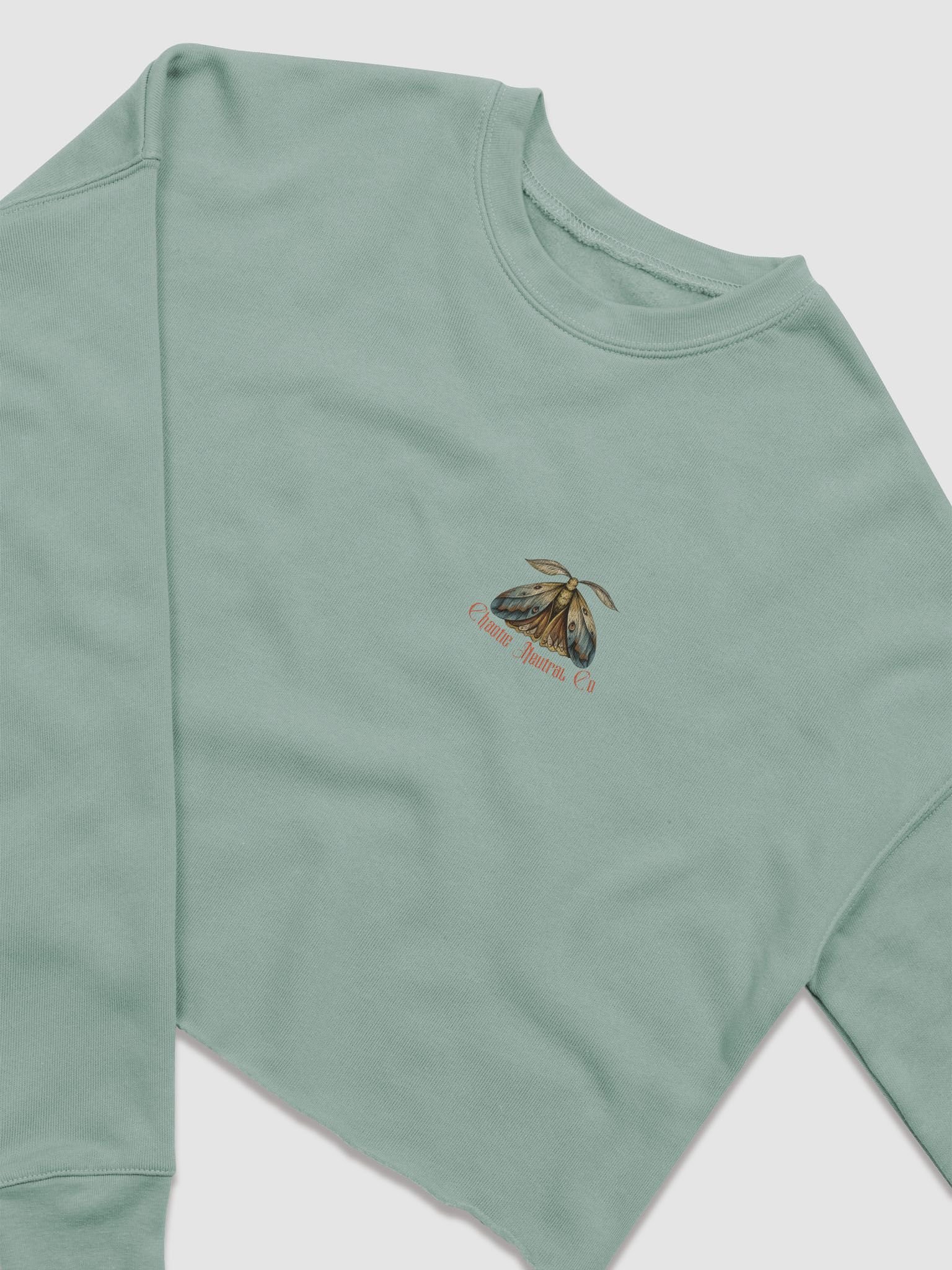 Rebirth Cropped Sweat (Blush Script) product image (4)