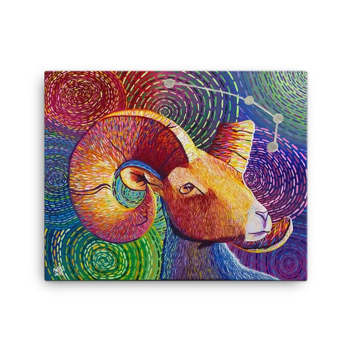 Aries Aurora product image (1)