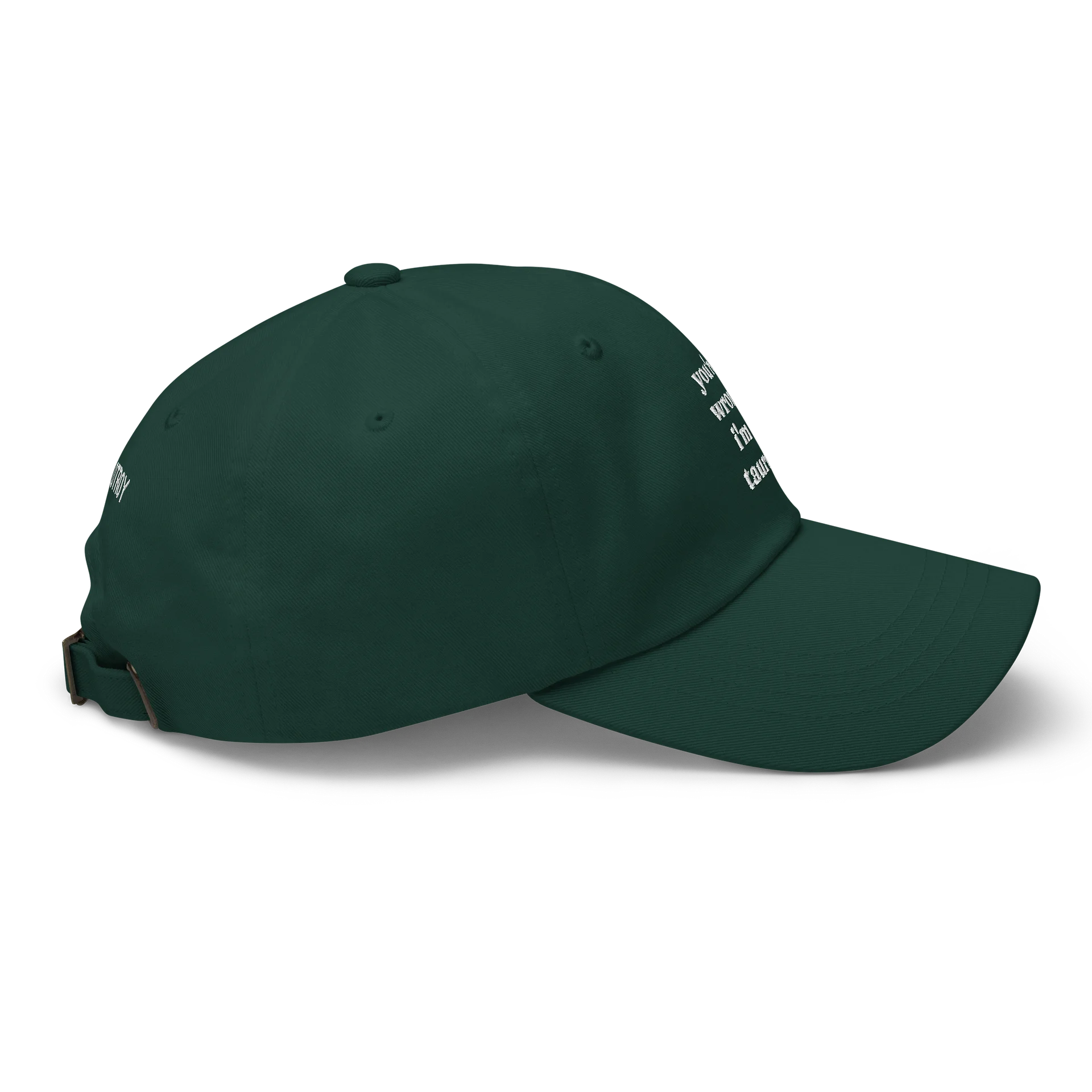 you're wrong taurus embroidered cap product image (2)