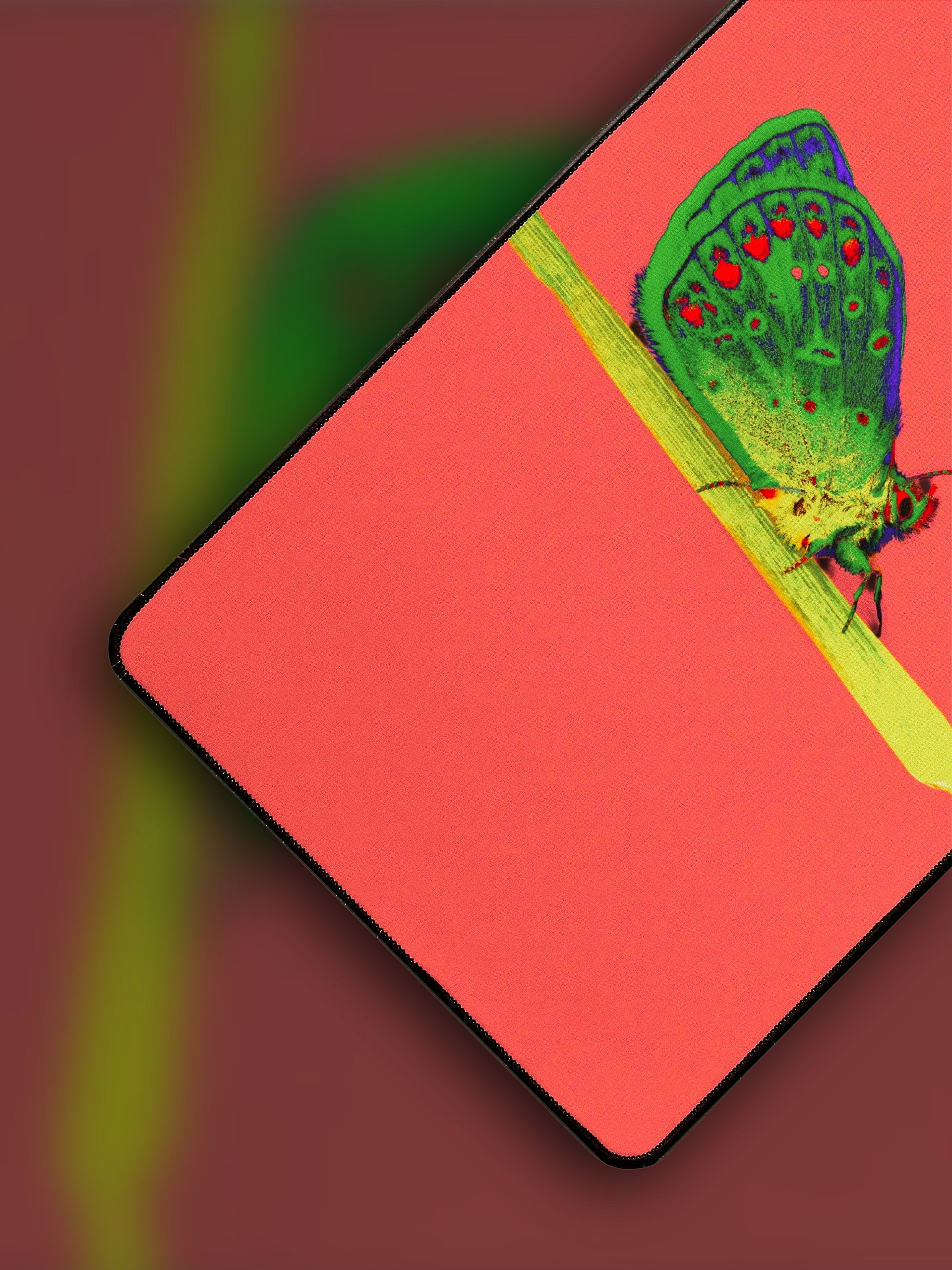 Colourful Animals Desk Mats - Butterfly product image (3)