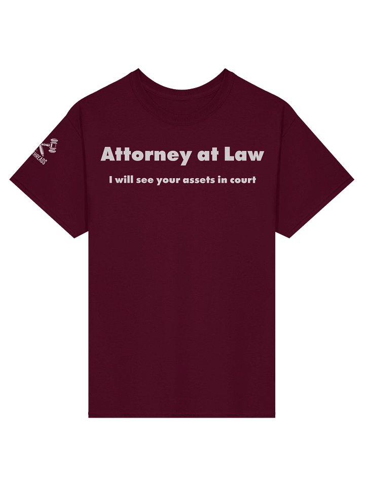 Attorney - See Your Assets in Court product image (2)