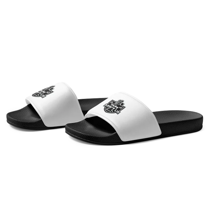 TDL slides product image (1)