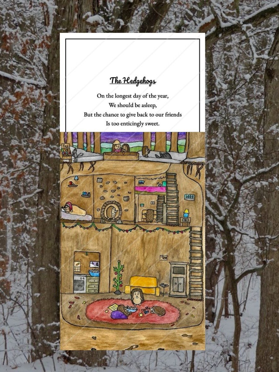 The Hedgehogs product image (1)