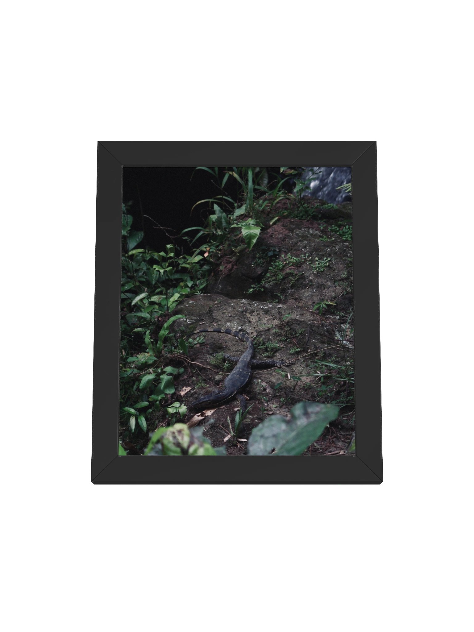 Bali Lizard product image (2)