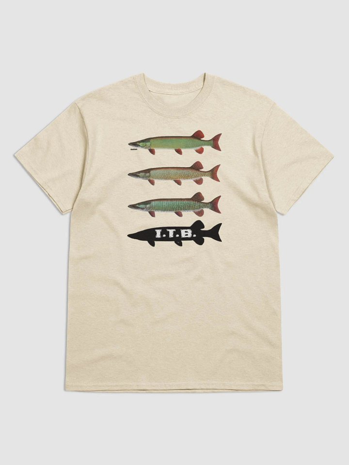 Clear, Spotted, Barred Tee product image (31)