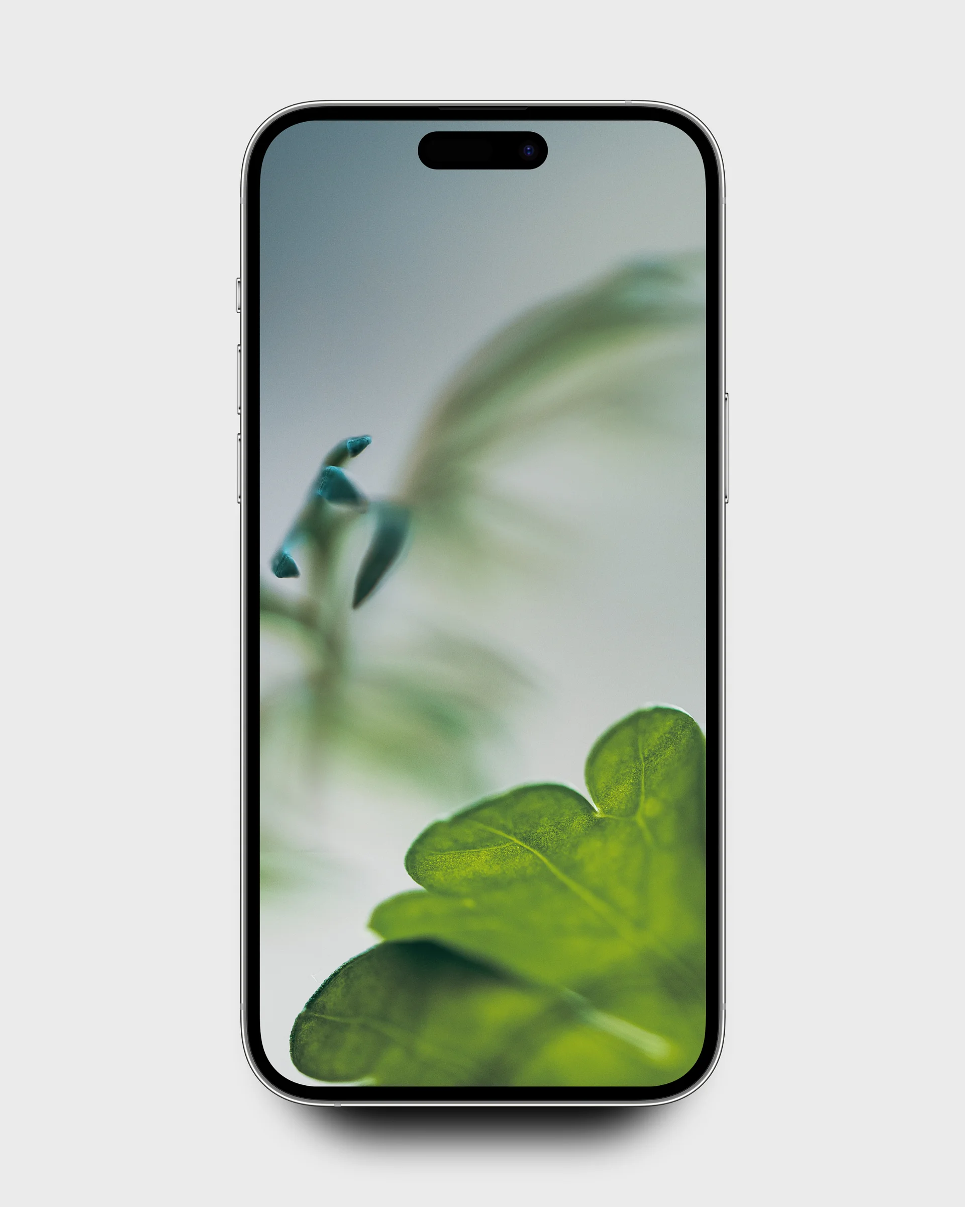 Up Close V2 8K & iPhone Wallpaper Pack product image (4)