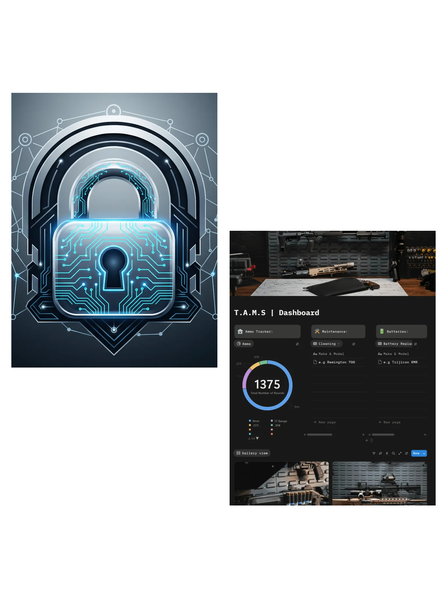 T.A.M.S + Vault Key 10% OFF! product image (1)