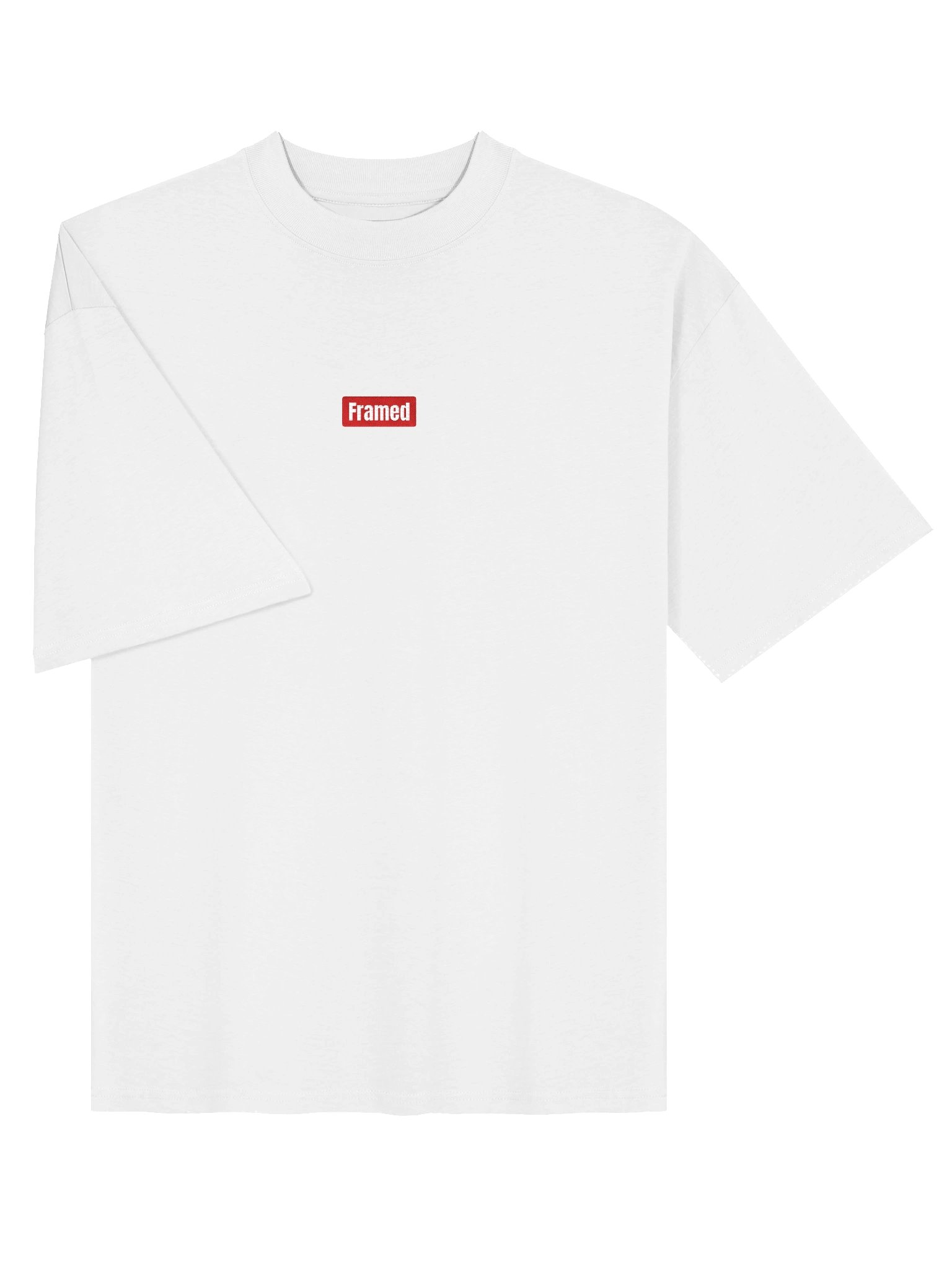 Framed Embroidered Logo Oversized T-Shirt product image (3)