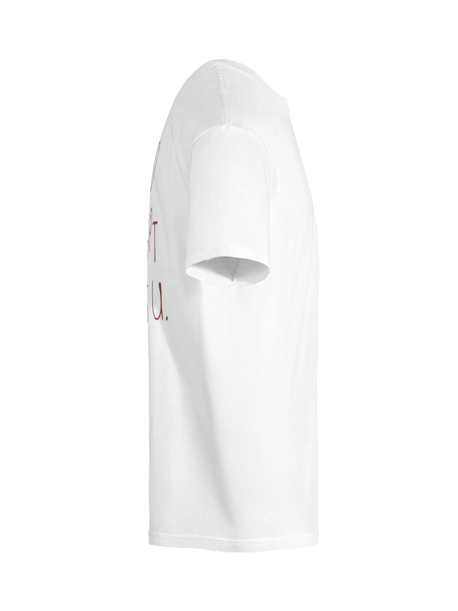 I Told ChatGPT About You T-shirt product image (19)