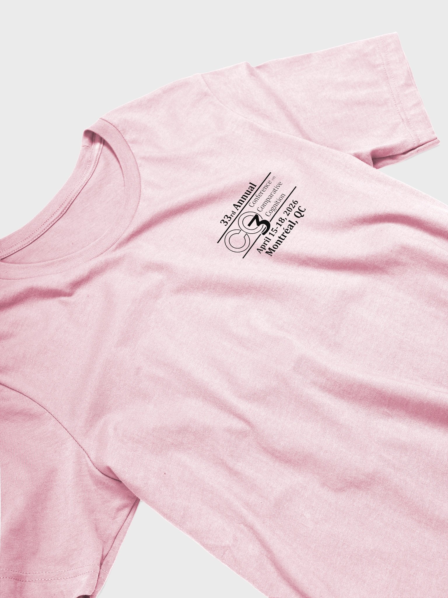 2026 CO3 tee (Starling) product image (3)