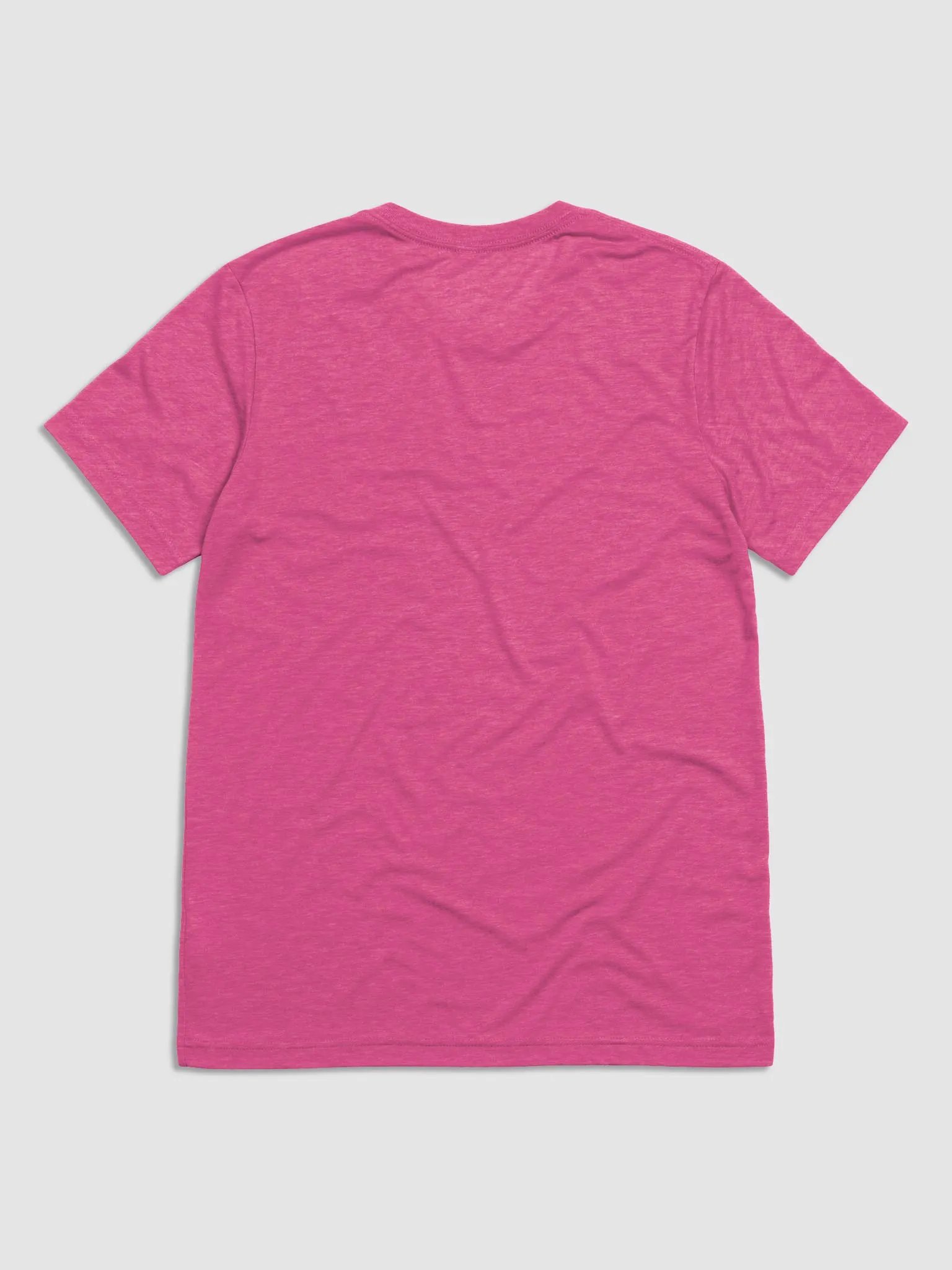 Stoic Youth Bella+Canvas Triblend Short Sleeve T-Shirt product image (2)