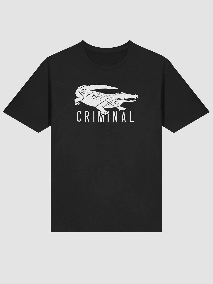 Criminal 10th Anniversary Tour T-shirt product image (3)