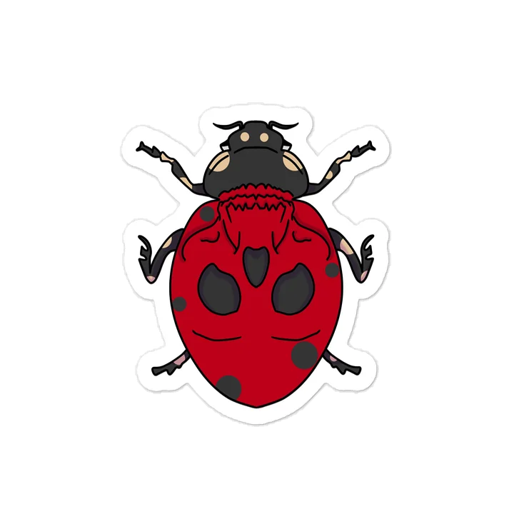 Lucky Bug! product image (1)