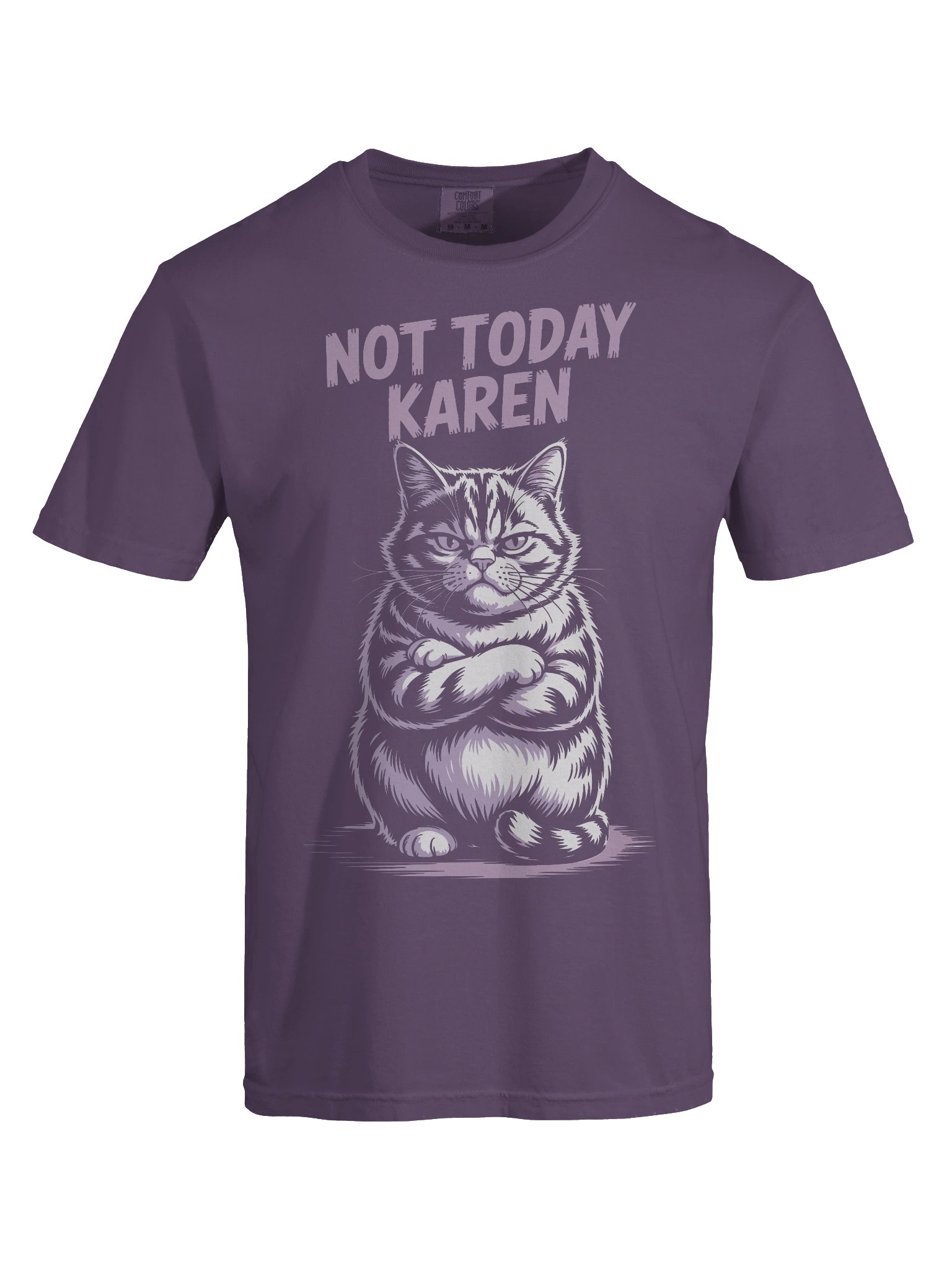 Grumpy Cat 'Not Today Karen' T-Shirt product image (5)