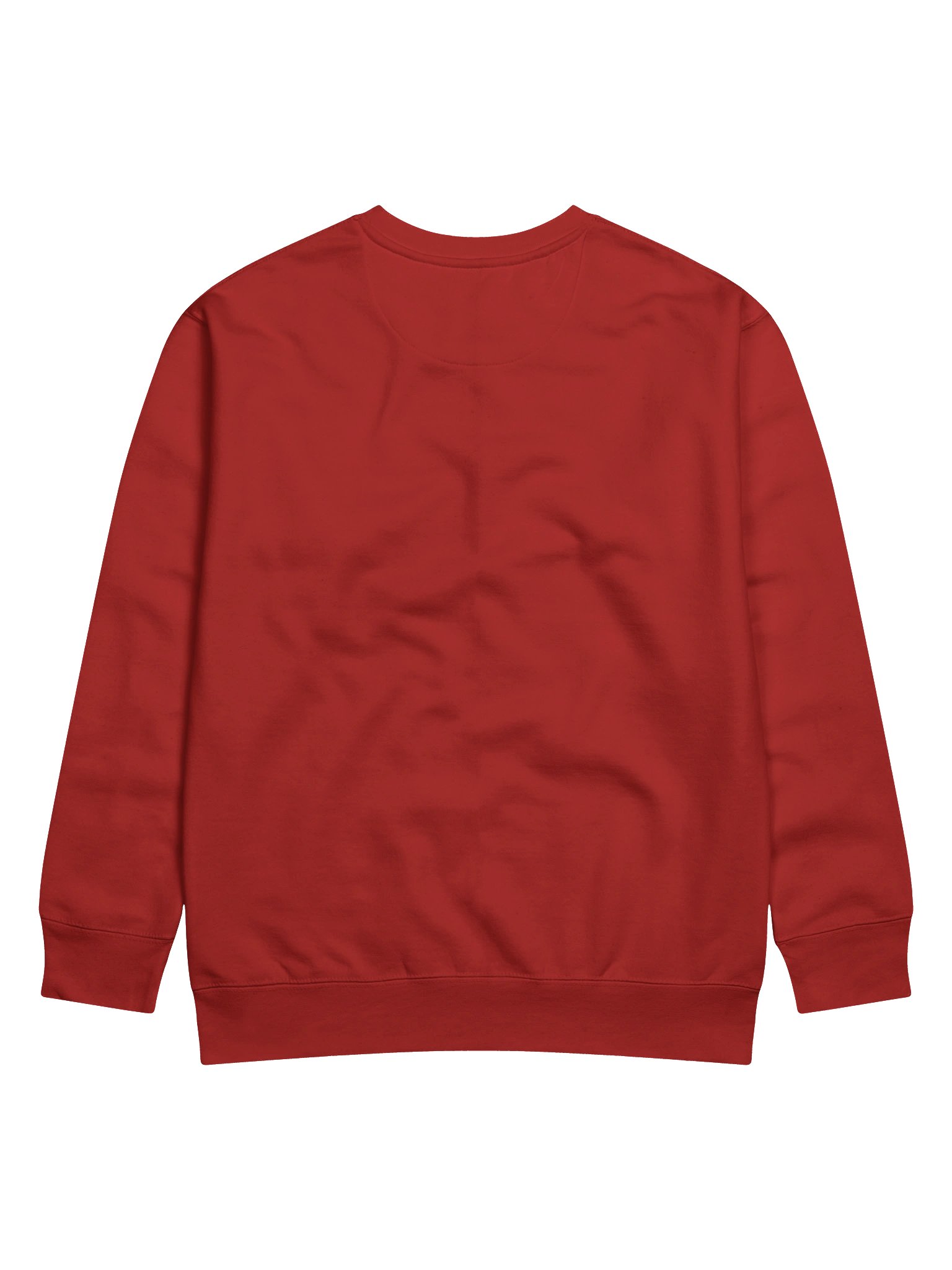 Ban Hate. Not Books. - Sweatshirt product image (12)