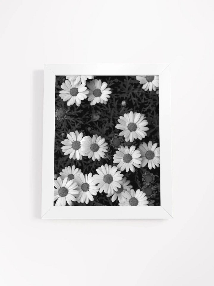 Daisy Flowers - Framed High-Quality Matte Poster product image (1)