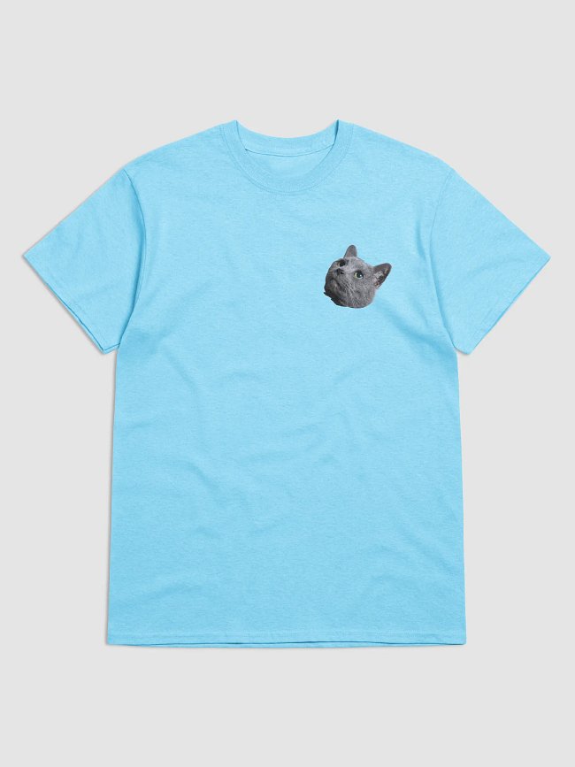 Kitty Cats