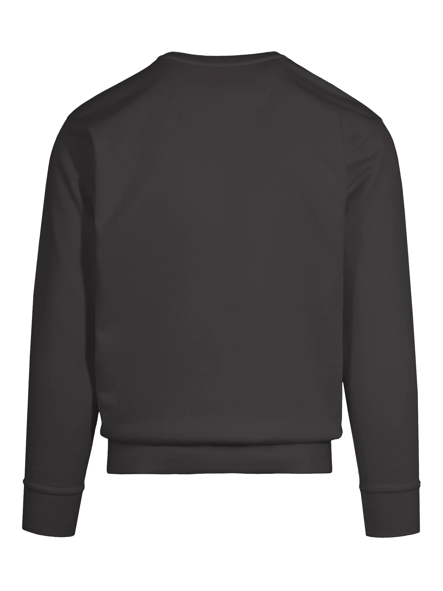 Fear the Beard Sweatshirt (Embroidered) of a Miniature Schnauzer(Salt & Pepper) product image (61)