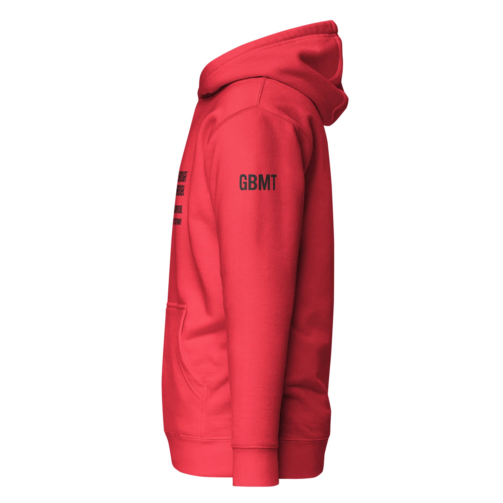 God Brought Me Through Hoodie -A Real Survivor I Wear Your Testimony Collection product image (8)