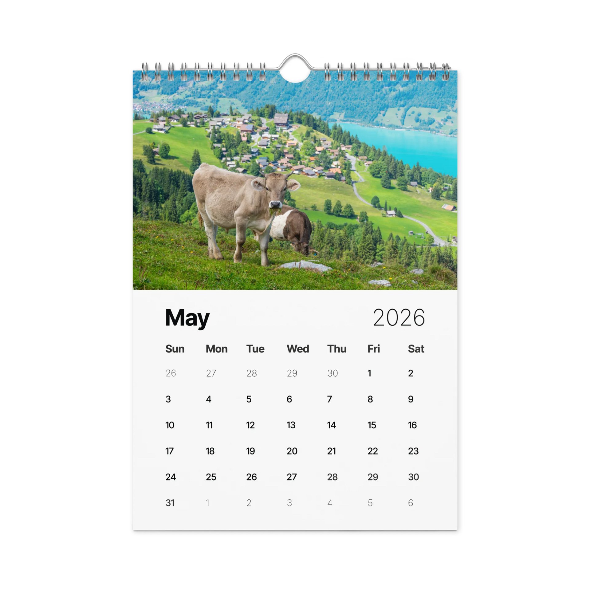 Swiss Cow Calendar 2026 product image (6)